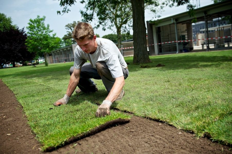 leggen als een expert in deze 5 stappen | Graszodengelegd.nl