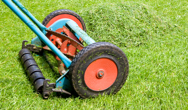 Gras maaien | Graszoden