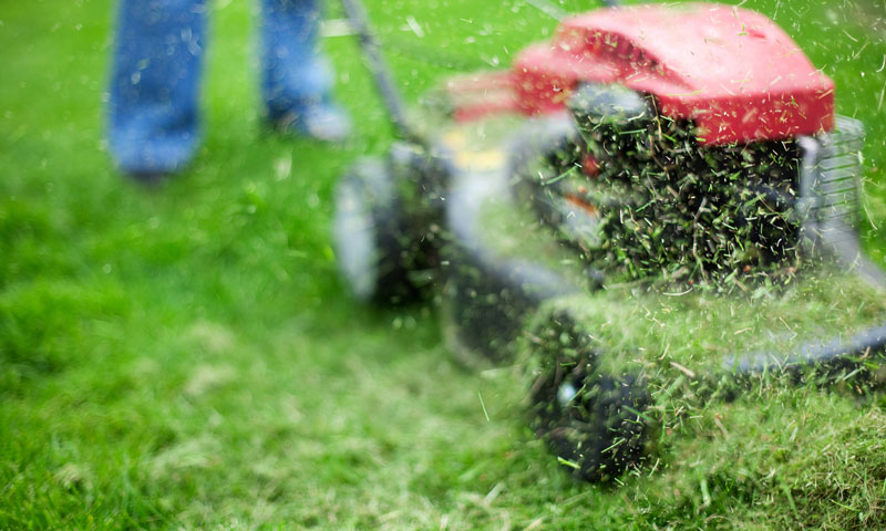 fles Werkwijze boog Gras beter maaien of mulchen? - Graszodengelegd.nl