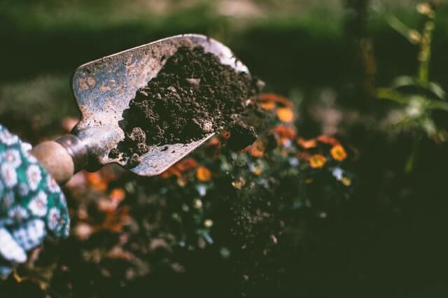 Compost strooien voor het egaliseren van het gazon