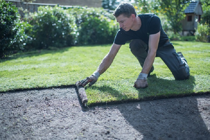 graszoden laten leggen in het voorjaar